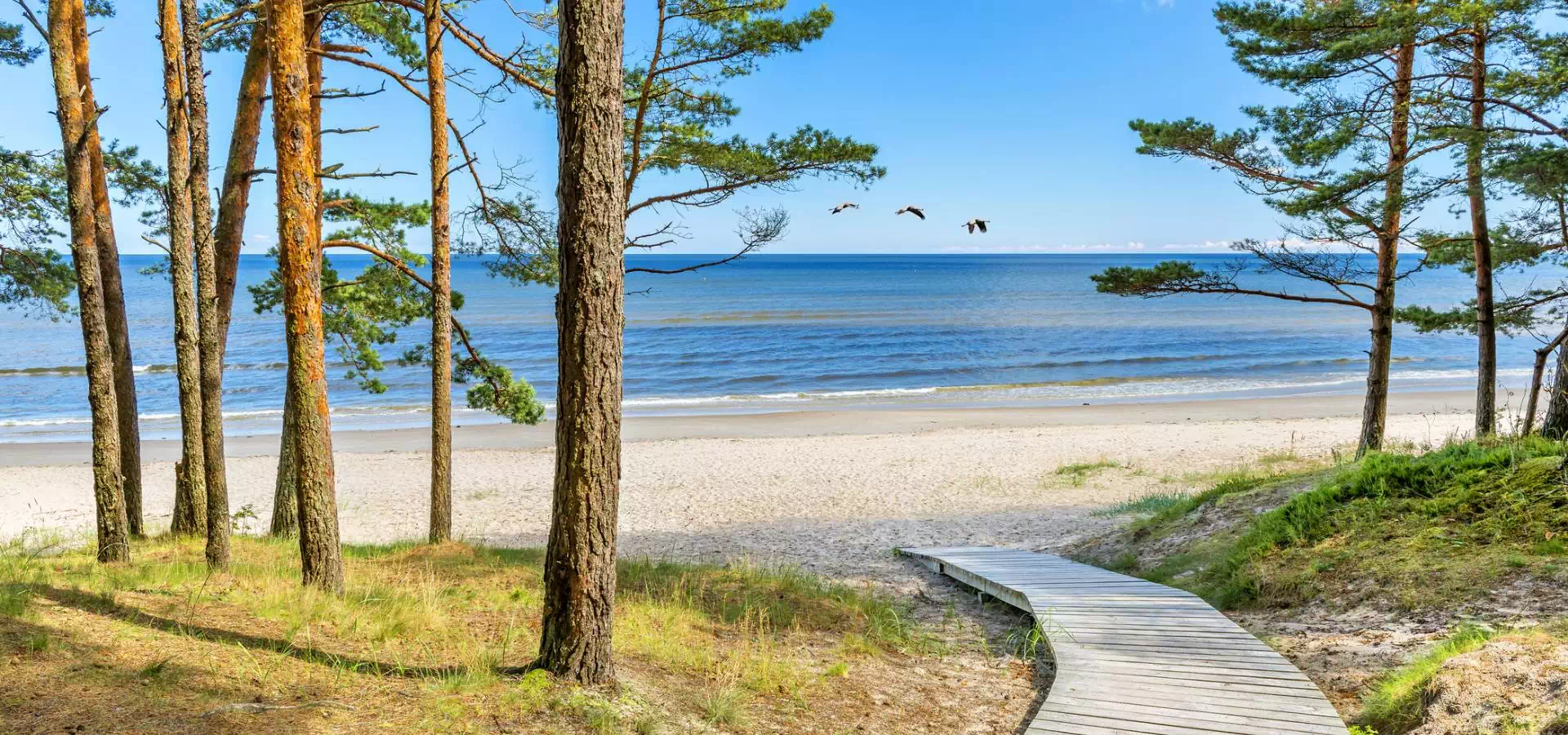 deptak prowadzący na plażę